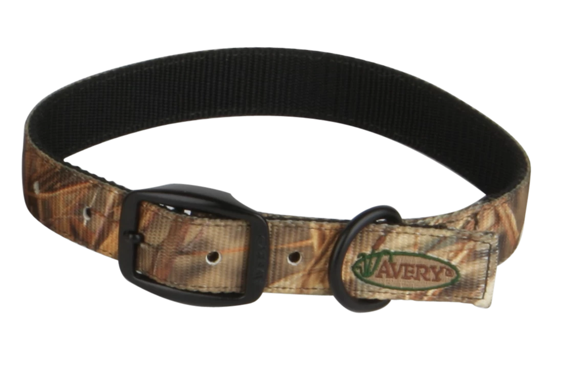 Avery Sporting Dog Standard Collar 1 Avery Sporting Dog Standard Collar