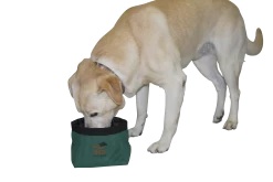 Avery Sporting Dog EZ-Stor Collapsible Dog Bowl -Outdoor Camping Sales 02177 EZ StorCollapsibleDogBowl Env 1