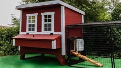 OverEZ Regular 16' Chicken Run -Outdoor Camping Sales 16ft Regular Chicken Run Attached to Large OverEZ Chicken Coop 720x.jpg Good2goco