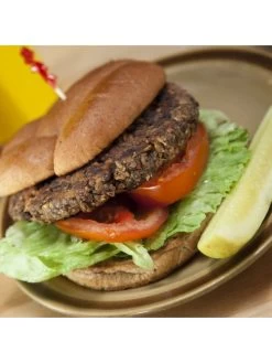 Augason Farms Black Bean Burger 6-Pack 21 Augason Farms Black Bean Burger 6-Pack -Outdoor Camping Sales 5 10170 9 600x800 05b4c907 a590 4750 aaab db70c82fbdbb