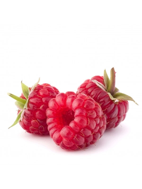 Augason Farms Freeze Dried Whole Raspberries #10 Can 7 Augason Farms Freeze Dried Whole Raspberries #10 Can - Image 7