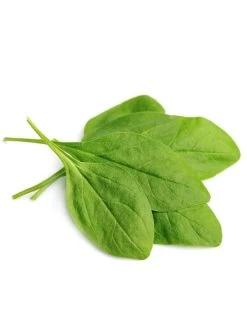 Augason Farms Dehydrated Spinach Flakes #10 Can 13 Augason Farms Dehydrated Spinach Flakes #10 Can -Outdoor Camping Sales 5 11129 7 600x800 a182b7bf 46c4 4ad0 aac4 361d2c755ae2