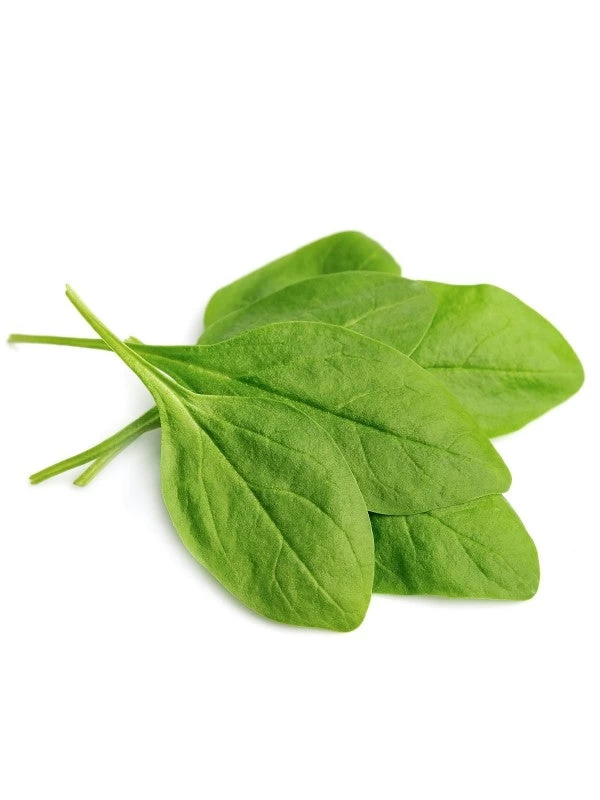 Augason Farms Dehydrated Spinach Flakes #10 Can 3 Augason Farms Dehydrated Spinach Flakes #10 Can - Image 3