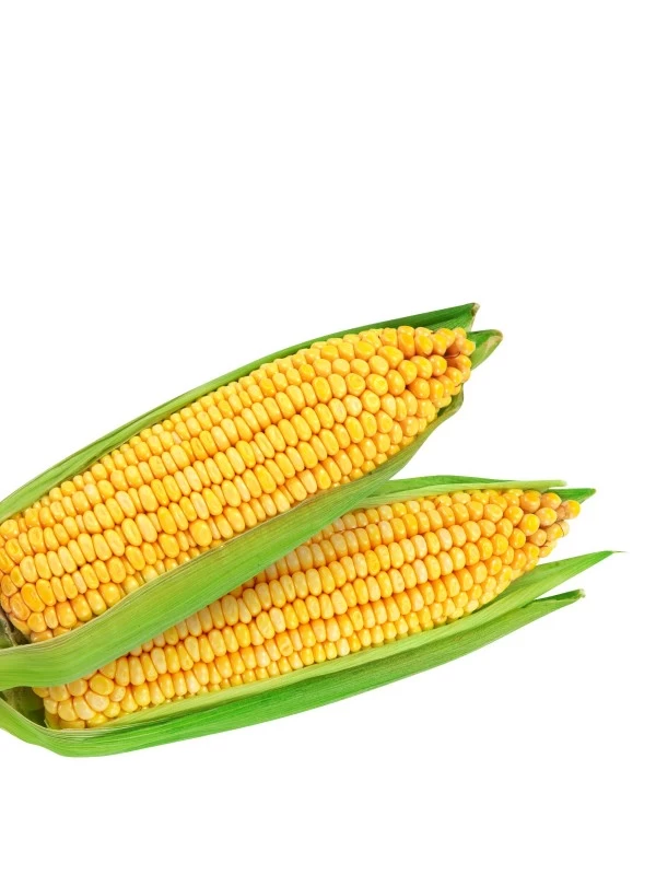 Augason Farms Freeze Dried Sweet Corn #10 Can 4 Augason Farms Freeze Dried Sweet Corn #10 Can - Image 4