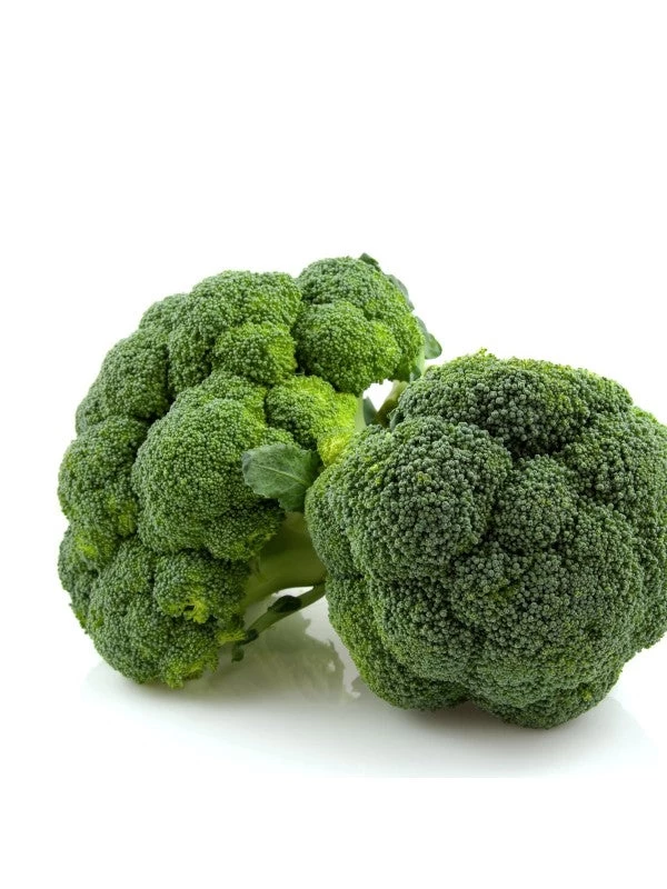 Augason Farms Freeze Dried Broccoli Florets & Stems #10 Can 6 Augason Farms Freeze Dried Broccoli Florets & Stems #10 Can - Image 6