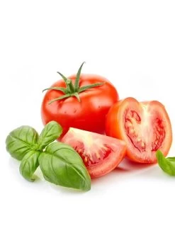 Augason Farms Tomato Powder #10 Can 11 Augason Farms Tomato Powder #10 Can -Outdoor Camping Sales 5 12004 7 600x800 1