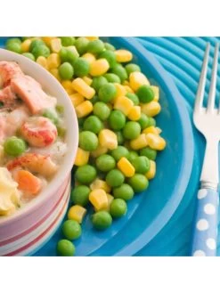 Augason Farms Freeze-Dried Vegetable Variety Pail 22 Augason Farms Freeze-Dried Vegetable Variety Pail -Outdoor Camping Sales 5 20491 19 600x800 1