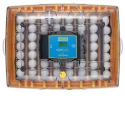 Brinsea Ovation 56 EX Fully Automatic Digital Egg Incubator -Outdoor Camping Sales 587 3
