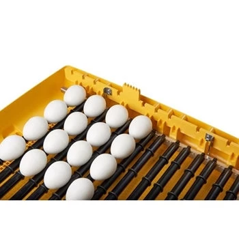 Brinsea Ovation 56 Zoologica Exotic Egg Incubator 2 Brinsea Ovation 56 Zoologica Exotic Egg Incubator - Image 2