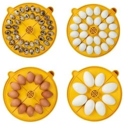 Brinsea Maxi 24 EX Fully Automatic 24 Egg Incubator -Outdoor Camping Sales 674 4 Good2goco e2a764b2 2865 4aa7 8143 46b7066879f9