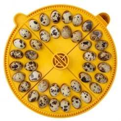 Brinsea Maxi Egg Quadrants