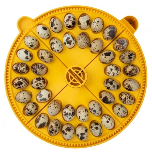 Brinsea Maxi Egg Quadrants 1 Brinsea Maxi Egg Quadrants