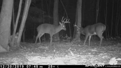 Spypoint Link-Micro-LTE Cellular Trail Camera (Twin Pack) -Outdoor Camping Sales 80388887 10218763357769000 5071185525541437440 n f9605a04 2016 48df 9b74 8b65105007aa