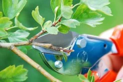 LOWE 5.124 Small Anvil Pruner With Pointed Blade -Outdoor Camping Sales 880449533.jpg Good2goco