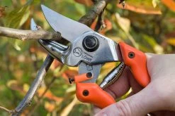 LOWE 8.104 Anvil Pruner With Curved Blade -Outdoor Camping Sales 880502065