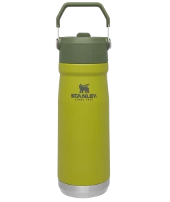 Stanley The Iceflow Flip Straw Water Bottle - 22oz -Outdoor Camping Sales B2B Web PNG The Classic IceFlow Flip Straw Water Bottle 22oz Aloe 1800x1800 0cfad7cd 6ff8 490a 8faf 56905decac49