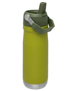 Stanley The Iceflow Flip Straw Water Bottle - 22oz -Outdoor Camping Sales B2B Web PNG The Classic IceFlow Flip Straw Water Bottle 22oz Aloe 1800x1800 5b014332 7068 45a4 9c9f 1d8823044859