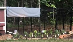 OverEZ Walk In 15' Chicken Run -Outdoor Camping Sales Close Up View OverEZ 15ft Walk I.jpg Good2goco