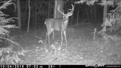 Spypoint Link-Micro-LTE Cellular Trail Camera (Twin Pack) -Outdoor Camping Sales DavidTyler2 dcc99038 03ad 49c4 8e12 56dc4023d492