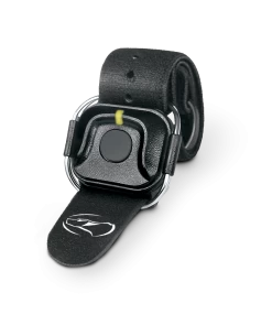 Dogtra Handsfree Square