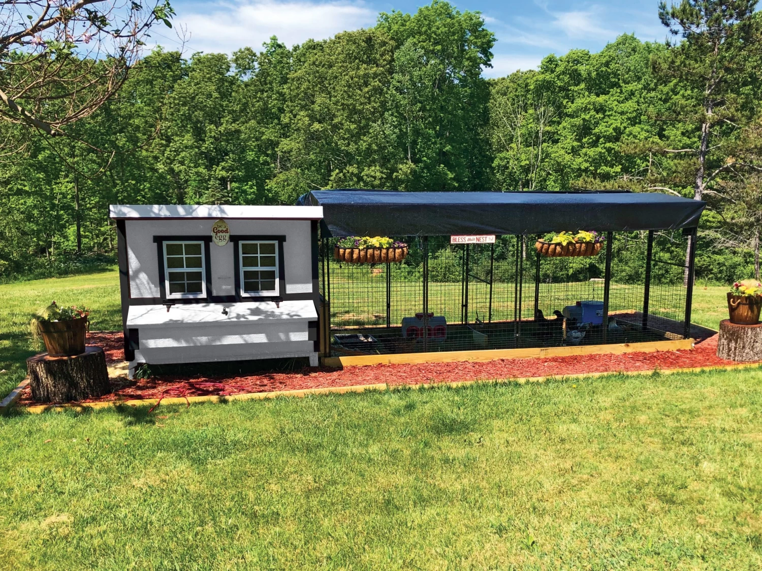 OverEZ Large Farmhouse Coop - 15 Birds 9 OverEZ Large Farmhouse Coop - 15 Birds - Image 9