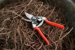 Felco 14 Ergonomic Pruning Shear -Outdoor Camping Sales FELCO14PruningShearRestingonRootsandBranches