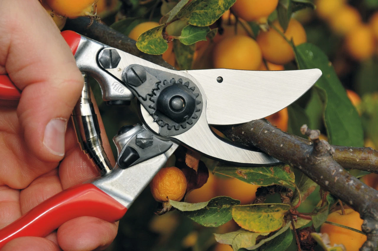 Felco 9 Left-Handed Ergonomic Pruning Shear 2 Felco 9 Left-Handed Ergonomic Pruning Shear - Image 2