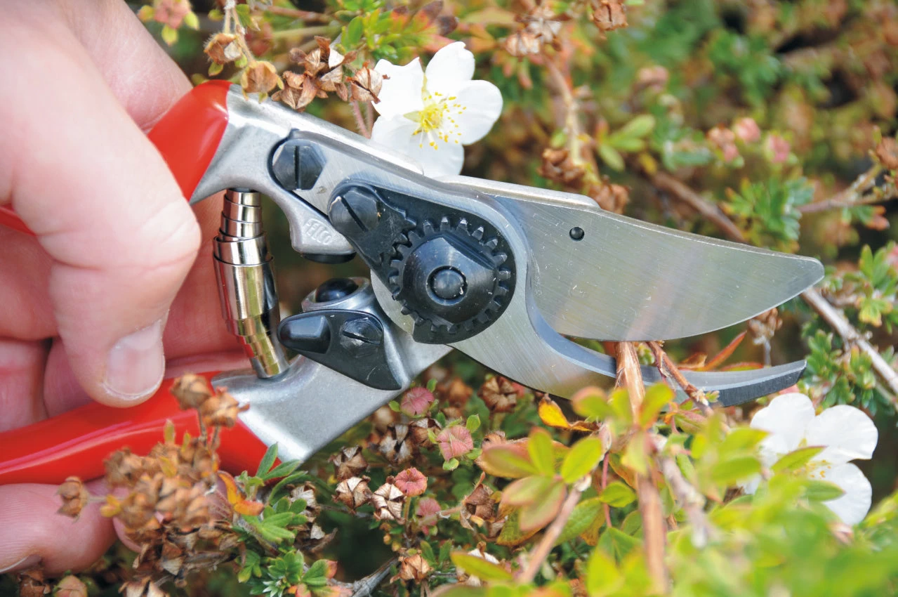 Felco 9 Left-Handed Ergonomic Pruning Shear 3 Felco 9 Left-Handed Ergonomic Pruning Shear - Image 3