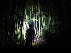 Fenix HL40R Focusable USB Rechargeable Headlamp 15 Fenix HL40R Focusable USB Rechargeable Headlamp -Outdoor Camping Sales HL40R Beam