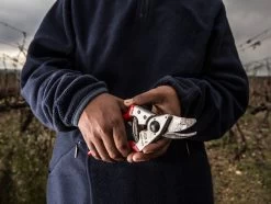 Felco 6 Ergonomic Pruning Shear -Outdoor Camping Sales HandsHoldingFelco6PruningShear