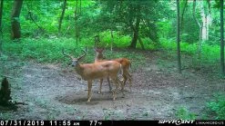 Spypoint Link-Micro-LTE Cellular Trail Camera (Twin Pack) -Outdoor Camping Sales KyleDonaldson2 06ab7976 dbc6 438c a111 65b93529852c