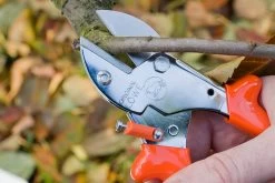 LOWE 5.104 Small Anvil Pruner -Outdoor Camping Sales LOWE5.104SmallAnvilPrunerCuttingaBranch
