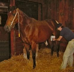 EZ Animal Products Udderly EZ Hand Mare Milkers 6 EZ Animal Products Udderly EZ Hand Mare Milkers -Outdoor Camping Sales MilkingwithStableizer