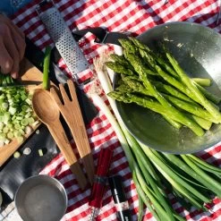 Primus Campfire Bowl S/S -Outdoor Camping Sales P740810 CampfireBowl LisaLowenborg DSC05565 2018