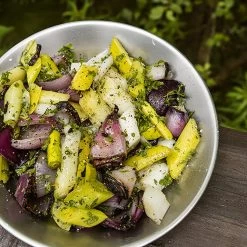 Primus Campfire Bowl S/S -Outdoor Camping Sales P740810 CampfireBowl Veloche DSC1483 2017