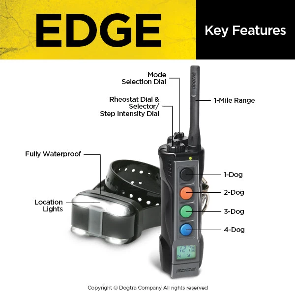 Dogtra Edge Training System 3 Dogtra Edge Training System - Image 3