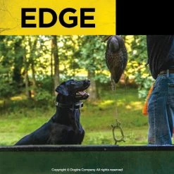 Dogtra Edge Training System 10 Dogtra Edge Training System -Outdoor Camping Sales PRODUCT IMG590MAR