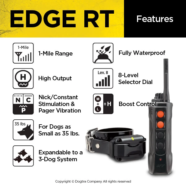 Dogtra Edge RT Training System 2 Dogtra Edge RT Training System - Image 2