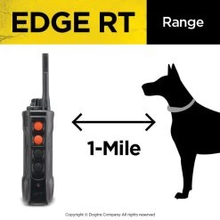 Dogtra Edge RT Training System 9 Dogtra Edge RT Training System -Outdoor Camping Sales PRODUCT IMG593MAR
