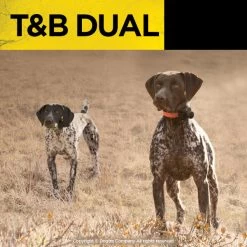 Dogtra T&B Dual 1-Dog Training And Beeper System 14 Dogtra T&B Dual 1-Dog Training And Beeper System -Outdoor Camping Sales PRODUCT IMG835MAR