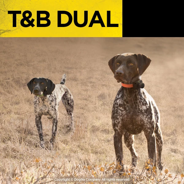 Dogtra T&B Dual 1-Dog Training And Beeper System 7 Dogtra T&B Dual 1-Dog Training And Beeper System - Image 7