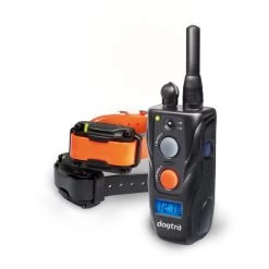 Dogtra 282C 2-Dog Training System