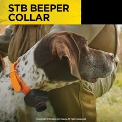Dogtra STB Beeper Collar -Outdoor Camping Sales PRODUCT IMG910MAR