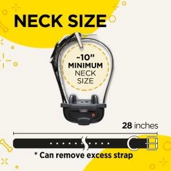 Dogtra IQ Mini Training System 10 Dogtra IQ Mini Training System -Outdoor Camping Sales PRODUCT IMG944MAR