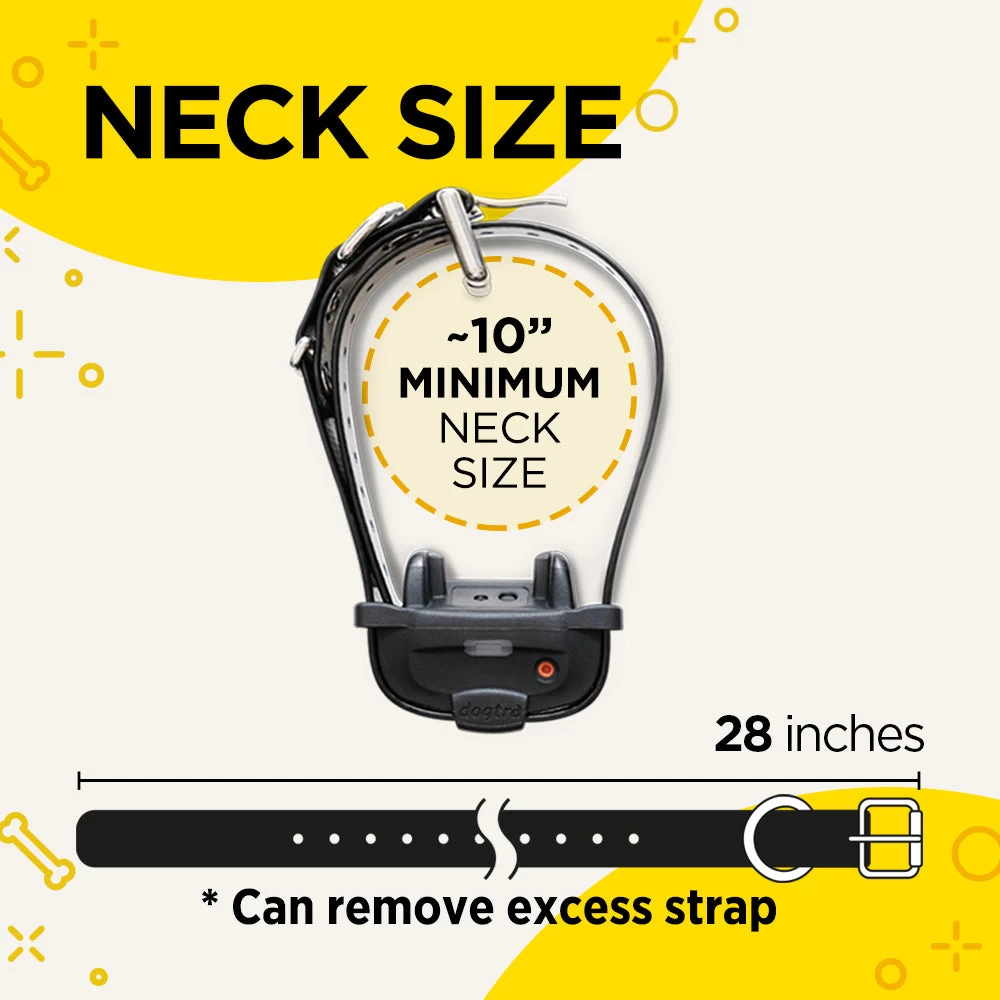 Dogtra IQ Mini Training System 5 Dogtra IQ Mini Training System - Image 5