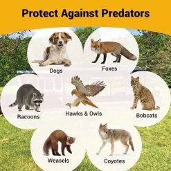 OverEZ Walk In 15' Chicken Run -Outdoor Camping Sales Protect Against Predators a56d72.jpg Good2goco