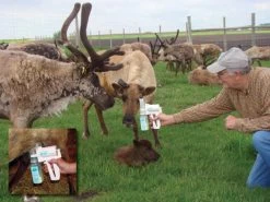 EZ Animal Products Udderly EZ Hand Cow Milkers 10 EZ Animal Products Udderly EZ Hand Cow Milkers -Outdoor Camping Sales Reindeer Milking