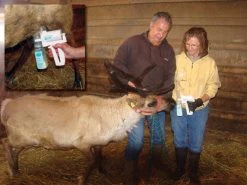 EZ Animal Products Udderly EZ Hand Cow Milkers 11 EZ Animal Products Udderly EZ Hand Cow Milkers -Outdoor Camping Sales Reindeer Milking2