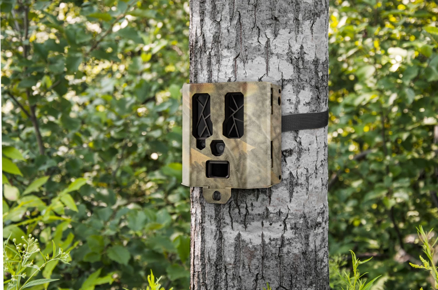 Spypoint Steel Security Box For 48 LEDS Spypoint Cameras 6 Spypoint Steel Security Box For 48 LEDS Spypoint Cameras - Image 6