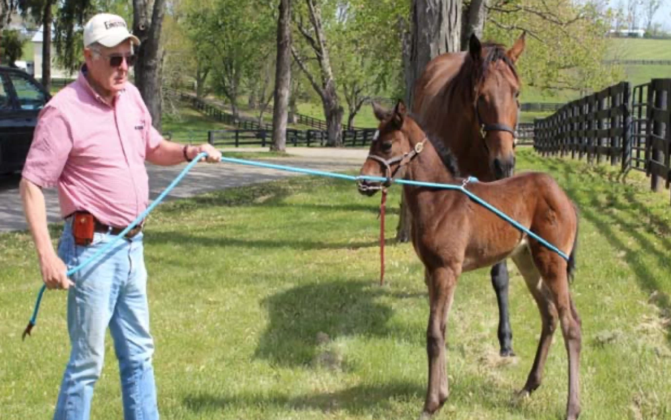 EZ Animal Products Buck-A-Long Training Rope 3 EZ Animal Products Buck-A-Long Training Rope - Image 3